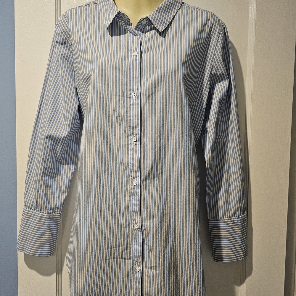 Kensie Blue and White Striped Button Down Shirt